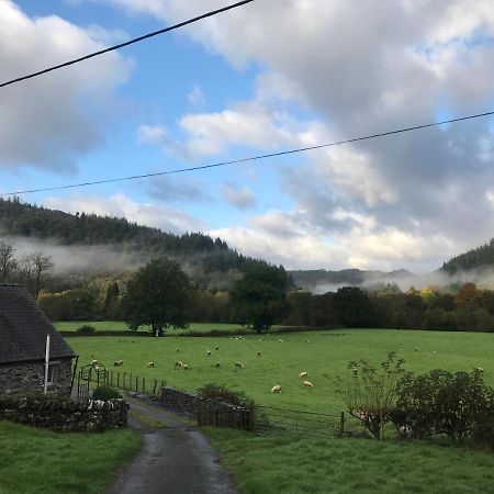 Вілла Tyddyn Bach Barn Бетус-і-Койд Екстер'єр фото
